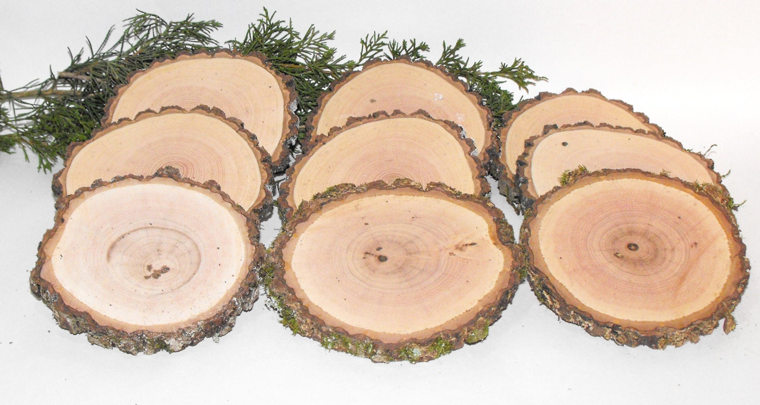 50 Rustic Wood Slices Centerpiece wood slice by OzarkCraftWood