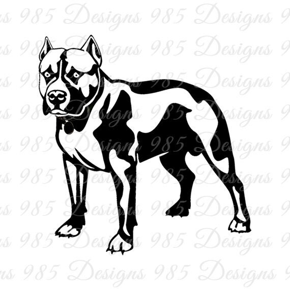 Download Pitbull Dog SVG for Cricut and Silhouette Machines by ...