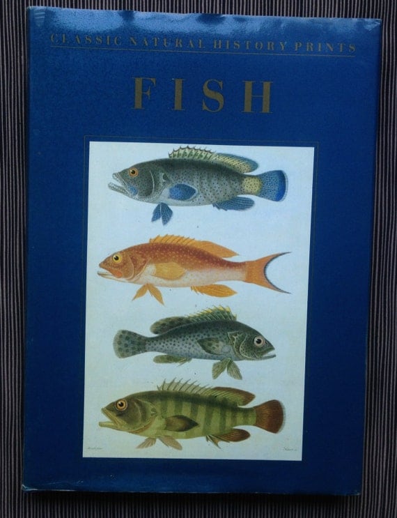 Fish Art Prints Book Classic Natural History Prints Fish