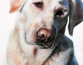 Custom dog portrait,Labrador,original painting,pet lover painting,unique handmade,gift idea, custom dog portrait,paslel portrait,art,drawing