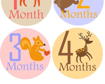 Monthly Baby Stickers Month Sticker Baby Month Stickers Baby Monthly Stickers Monthly Stickers Baby Stickers Photo Sticker Month by Month