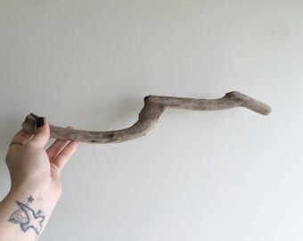 Long Driftwood Piece / Driftwood Beach Decor/ Driftwood for Crafts/ Driftwood Supply/ Driftwood Art Piece/ Decorative Driftwood/ Beach Finds