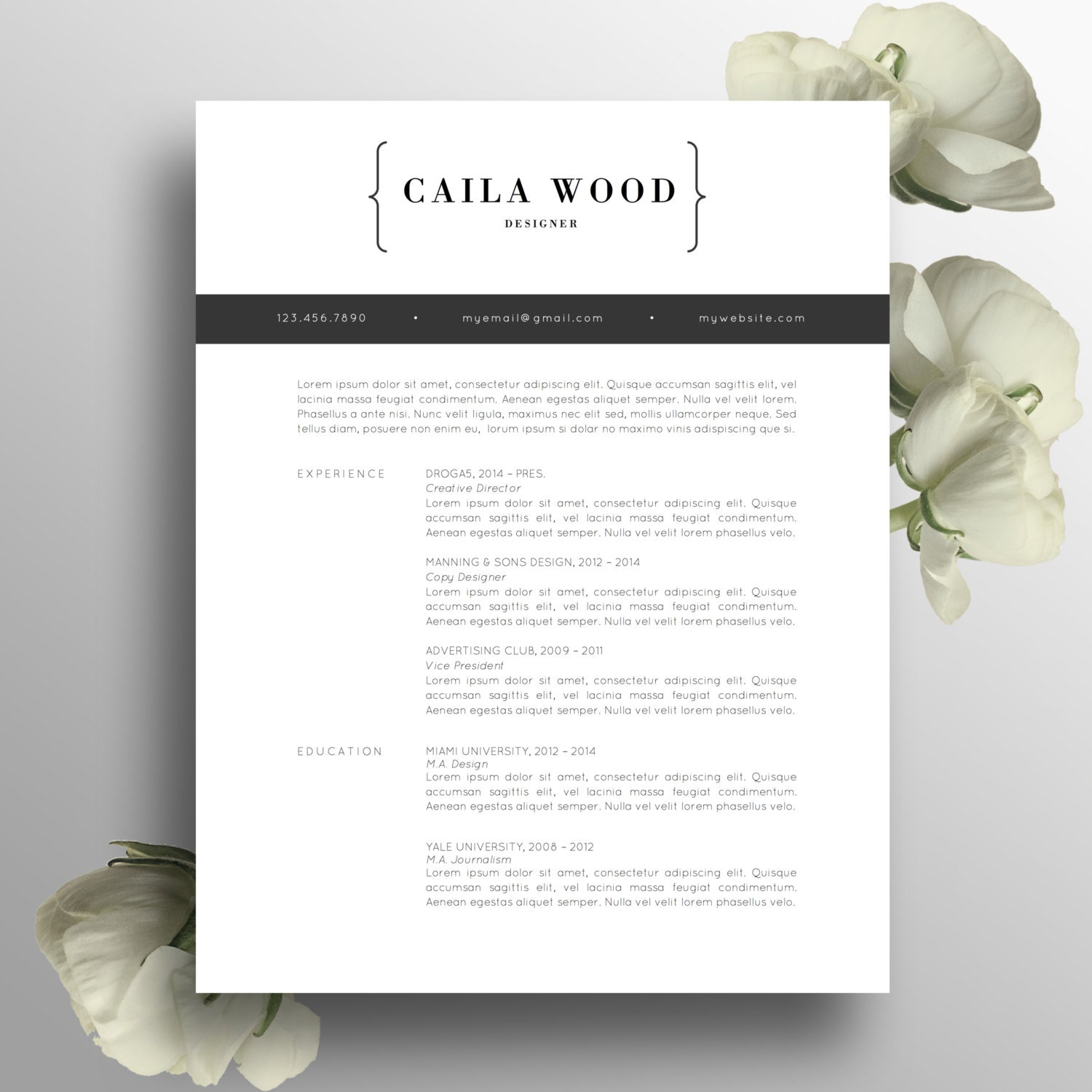 Modern Professional Resume Template / CV by ModernResumeCo on Etsy