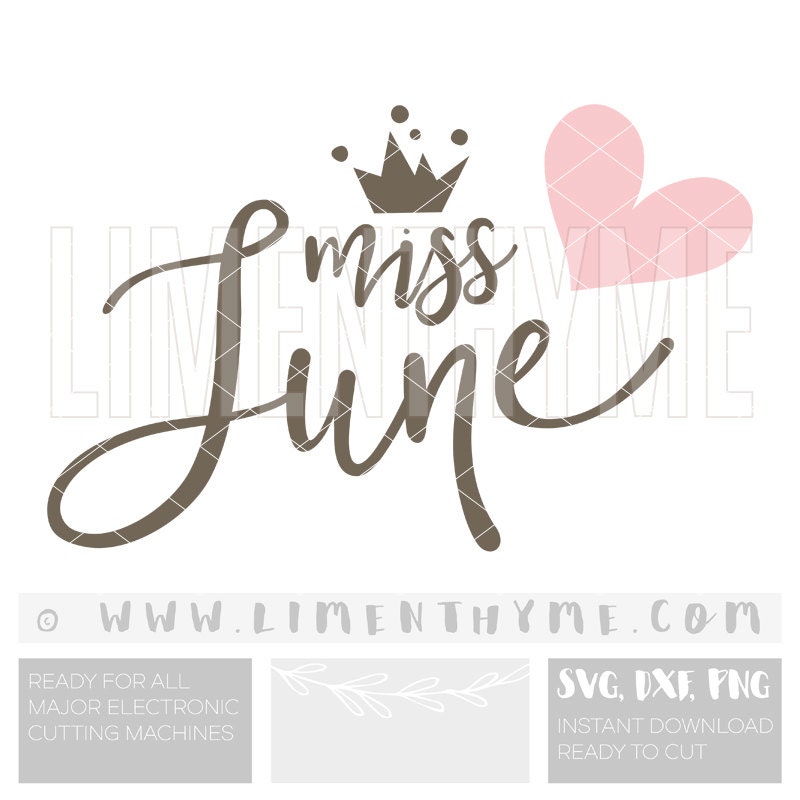 Download Baby Girl Birthday SVG Little Miss June svg / girl birthday