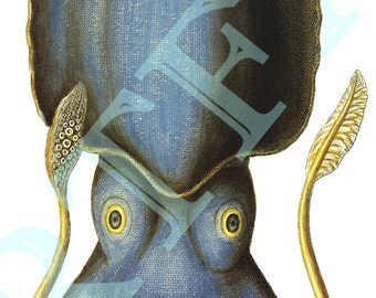 Blue Squid Blank Note card Handmade