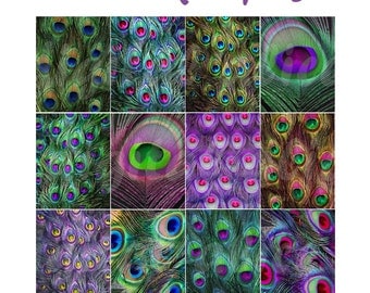 PEACOCK FEATHERS Paper Pack- Digital Papers - 12 Colorful Peacock backgrounds ,Instant Printable Download-crafts,party,wedding,photography