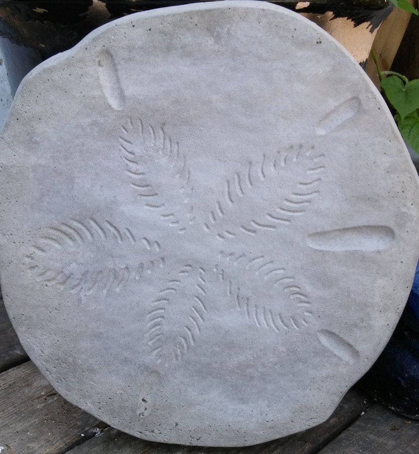 Concrete Sand Dollar Stepping Stone