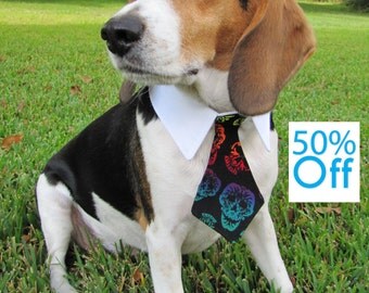 On Sale! Dog/Cat ombre sugar skull necktie/bowtie on a shirt style collar