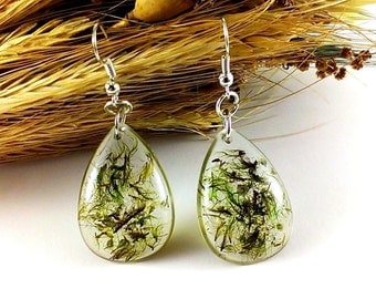 Resin earrings Holiday Gift|For|Wife Real moss earrings Mother gift daughter Natural moss green earrings Resin jewelry Dangle earrings
