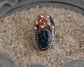 Custom listing for Toni- succulent silver rig