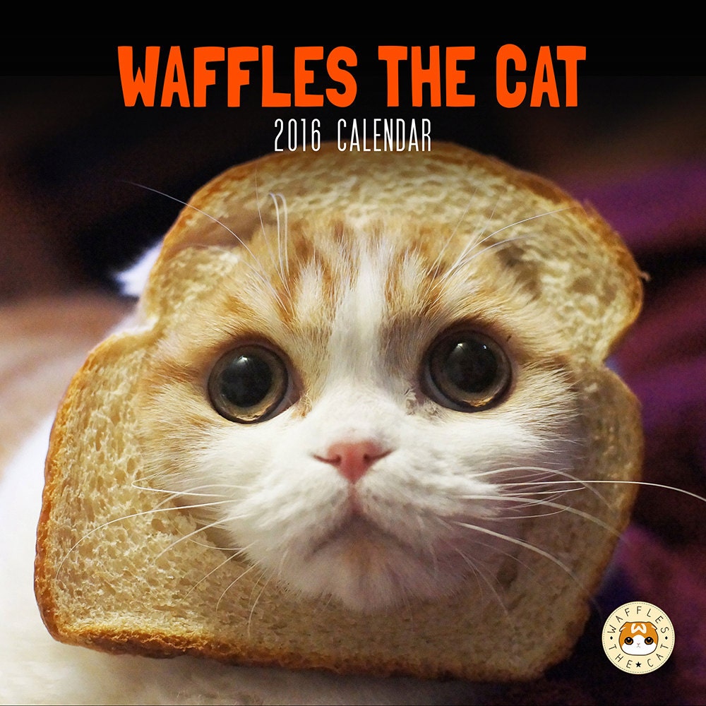 Waffles the Cat 2016 Calendar by WafflesCat on Etsy
