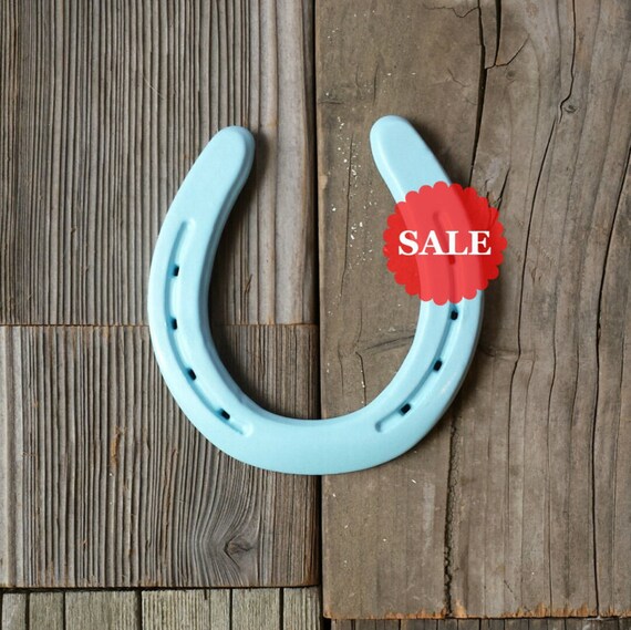 SALE Blue Horseshoes Baby Blue Horse Shoes by EECustomHorseShoes
