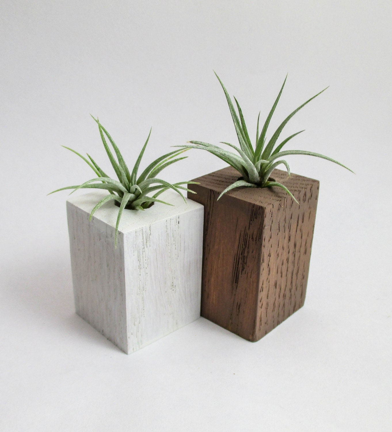 Air Planters Air Plants Wood Air Plant Planters Holders