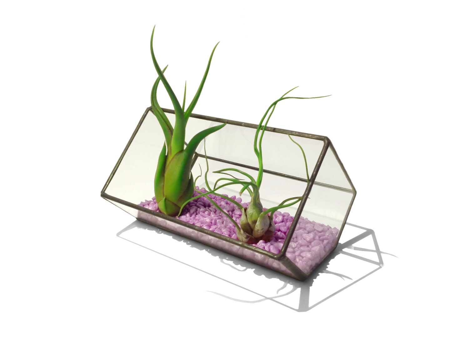 Stained Glass Terrarium Planter 10cm Extended Cube Cutoff