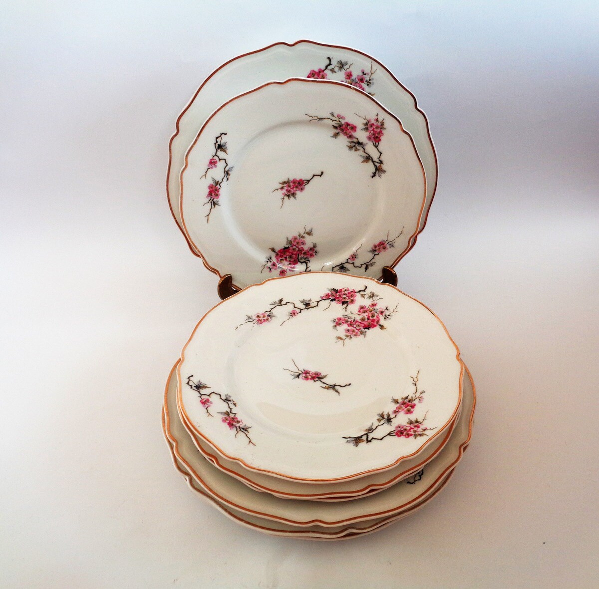 Dinnerware set Limoges China Plates Set of 8 Antique Limoges