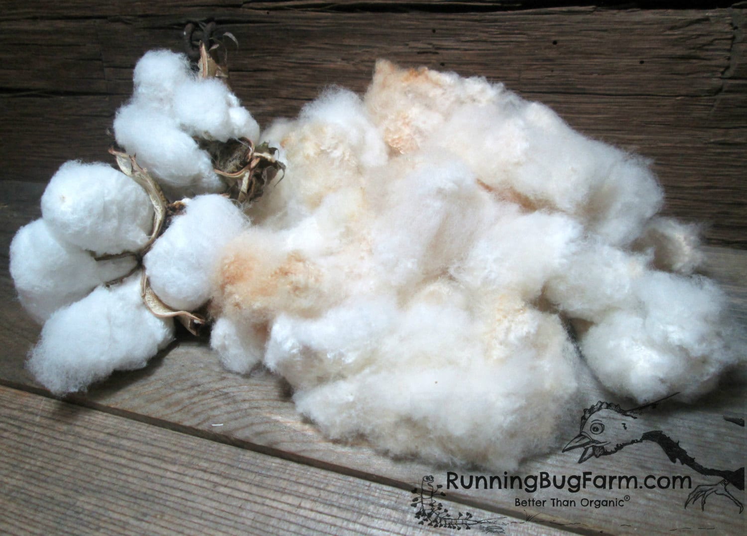 Raw Cotton Lint With Seeds Spinning Fiber Red Folliated White Brown