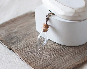 Dandelion Necklace. Nature Necklace. Real Dandelion Seed Necklace. Wish Necklace. Botanical Necklace. Glass Bottle Necklace.