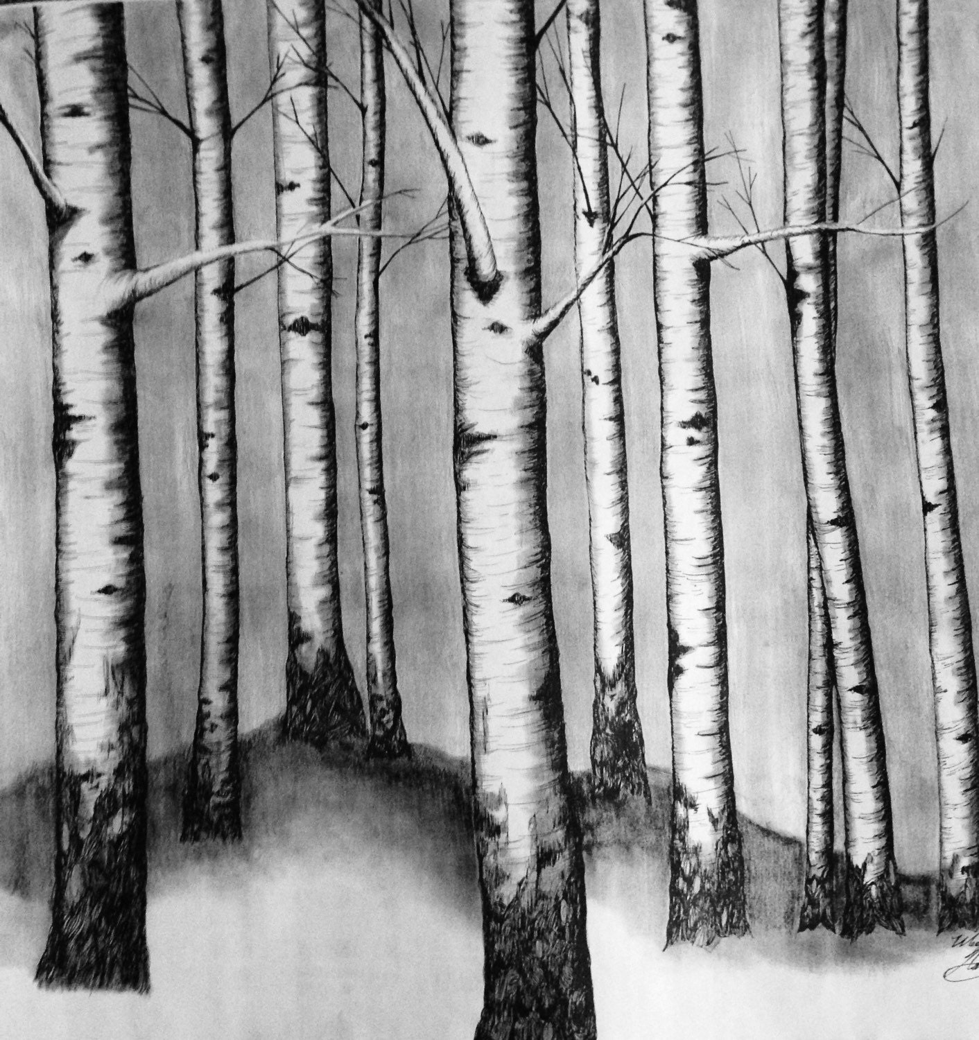 Charcoal Drawing Birch Tree Forrest Art by ChicCharcoals on Etsy
