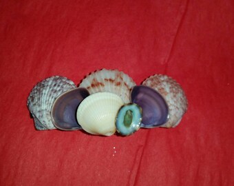 Seashell Hair Clip, Seashell Hair Barrette, Coastal Hair Clip, Handmade Hair Clip, Shell Hair Accessory, Seashell Barrette