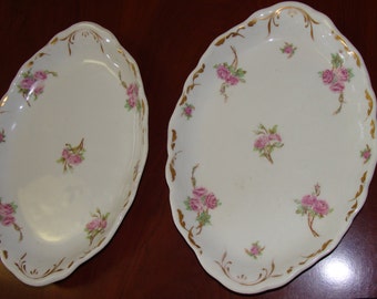 Two Shabby Chic exquisic Vintage Plates/Roses/Transferware