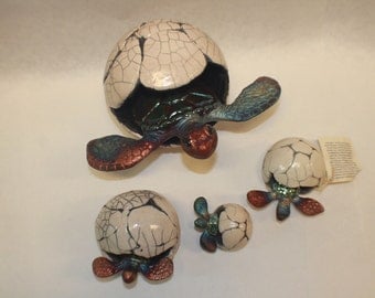 Honu Hatchling (Sea Turtle Hatchling) *** (w/ FREE SHIPPING!)