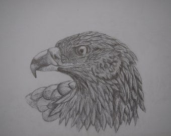 Items similar to Bald Eagle Pencil Drawing with Mat on Etsy