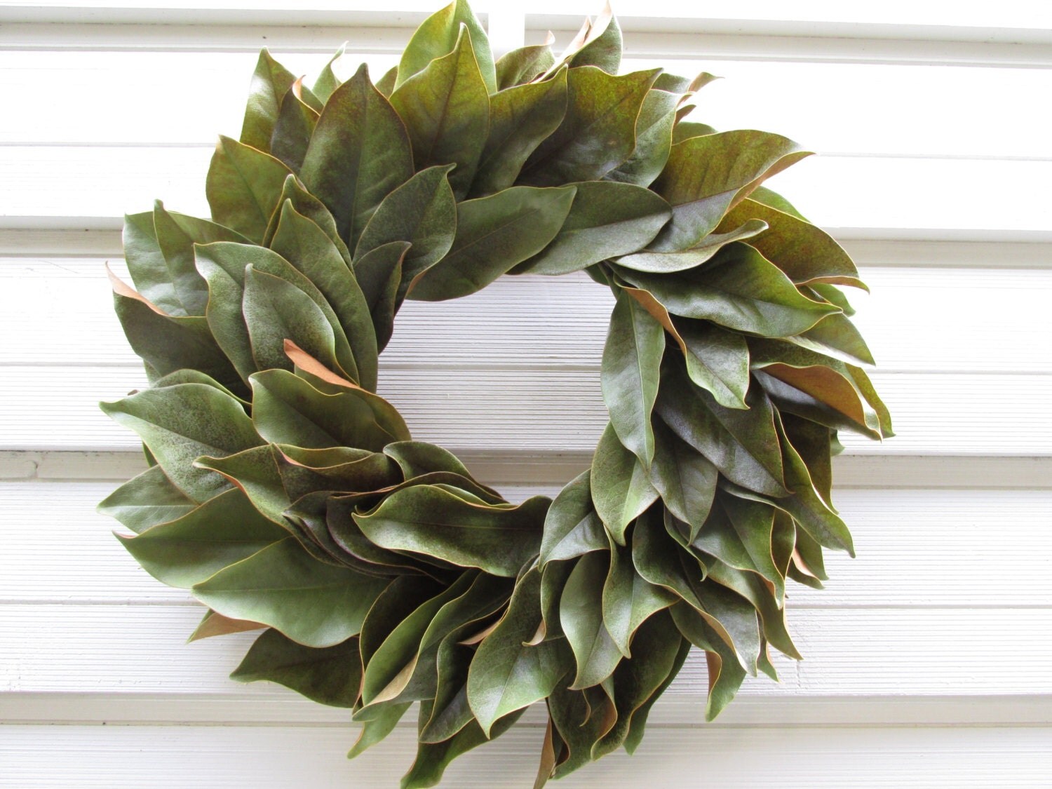 Dried Magnolia Leaf Wreath 18 19 Size Natural Green