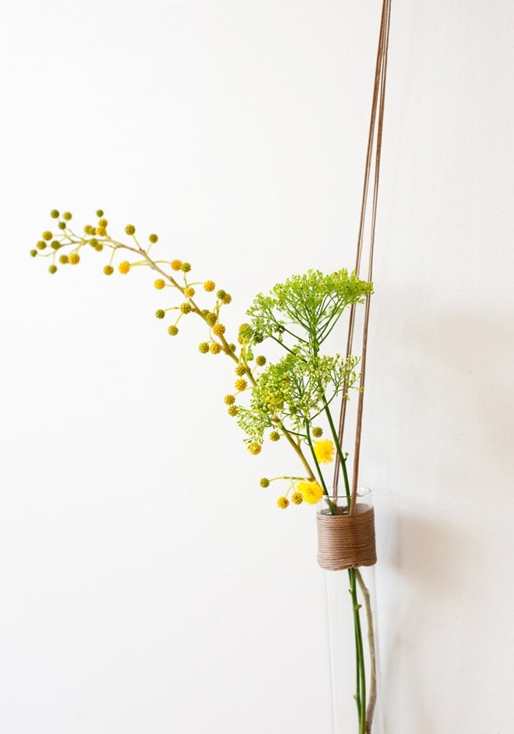 Hanging Vase Glass Tube Vase Brown Vase Wall by StudioConnections