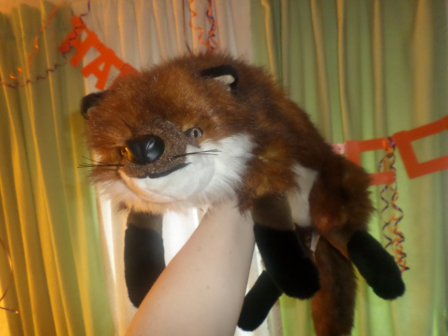 ditz stuffed animals