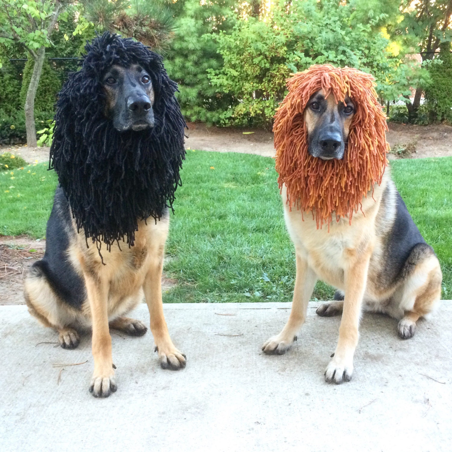 MEDIUMDog Lion Mane Halloween Costume