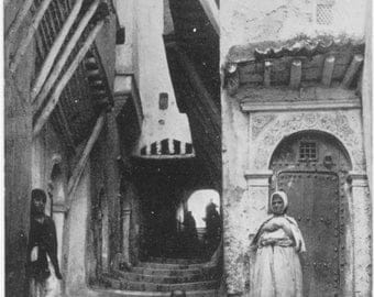 Alger ALGERIA Children on Steps @ La Rue du Chameau POSTCARD Carte Postale