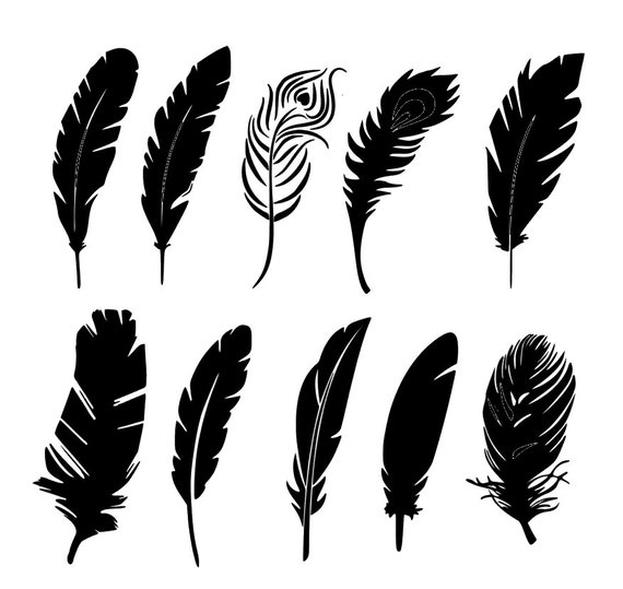 Free Free 329 Feather Svg File Free SVG PNG EPS DXF File