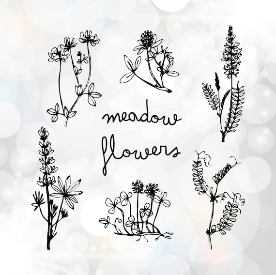 Free Free 186 Wildflower Svg SVG PNG EPS DXF File