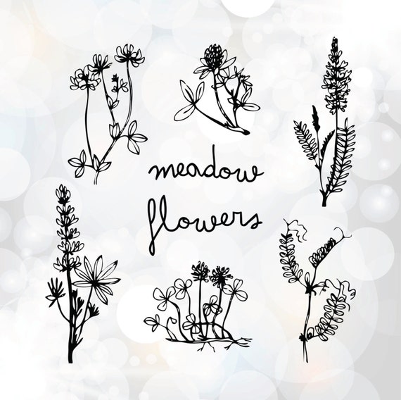 Free Free Wildflower Svg Free 31 SVG PNG EPS DXF File