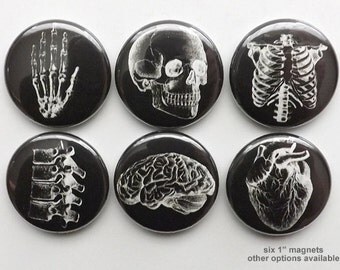 Doctor Graduation Anatomy Magnet white black gift med student physician assistant male nurse party favor stocking stuffer paramedic goth