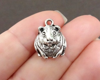 10, Hamster, Guinea Pig, Gerbil, Pet Charms 18x14x5mm