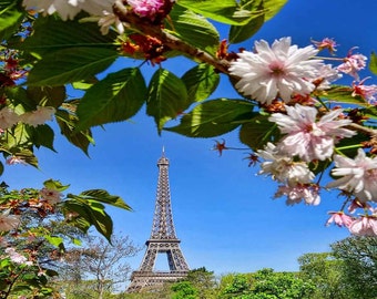 Fresh Eiffel Tower 10ft x 10ft Backdrop Computer Printed Photography Background LMG-231