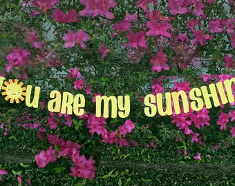 You Are My Sunshine Birthday, Mother's Day Decoration, Birthday Banner, Nursery Decor, Baby Shower