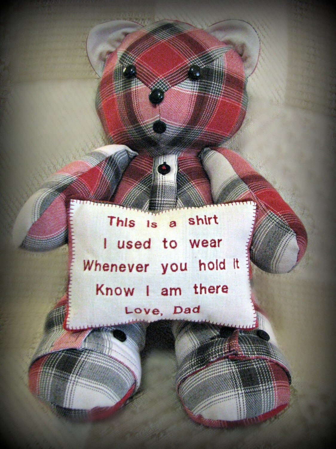 Custom Made Teddy Bear Cat Dog or Bunny Holding Pillow
