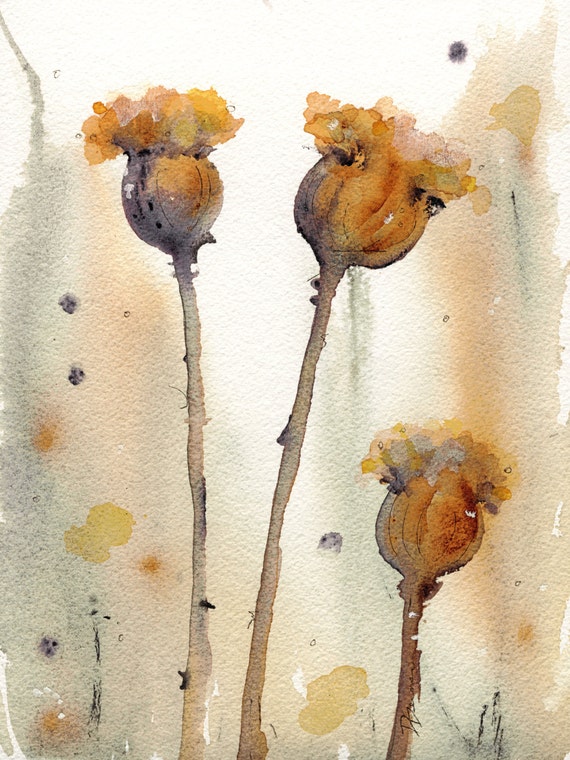 Modern Botanical Art Print Poppy Seed Pods 12 x 16