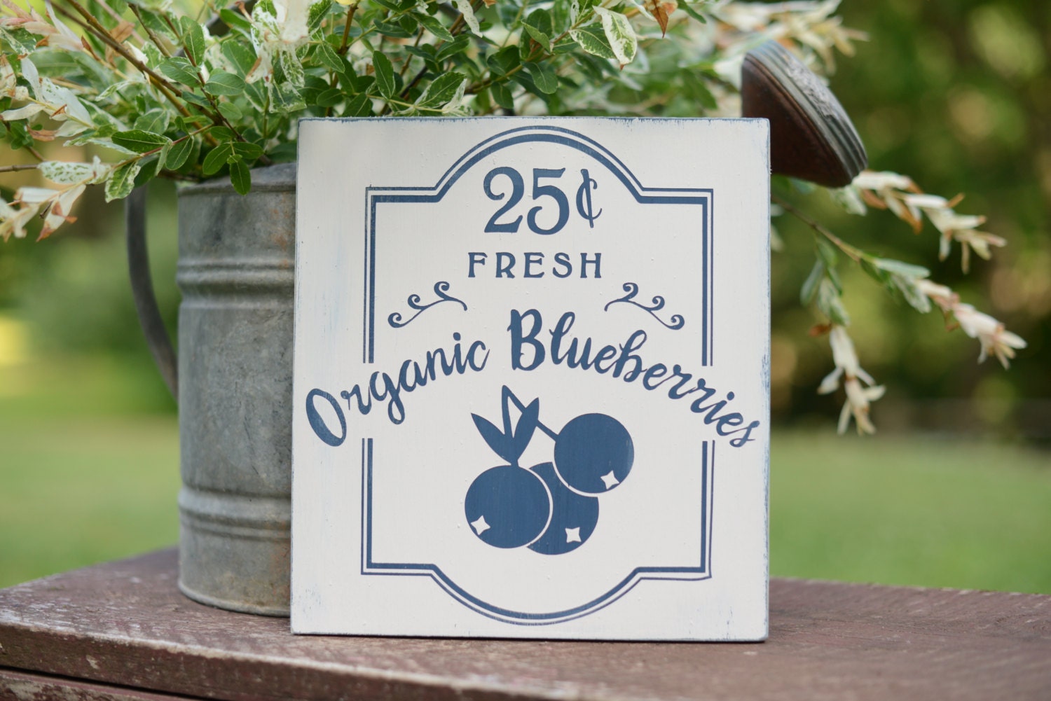 Organic Blueberries Blueberry Sign Blueberries Sign