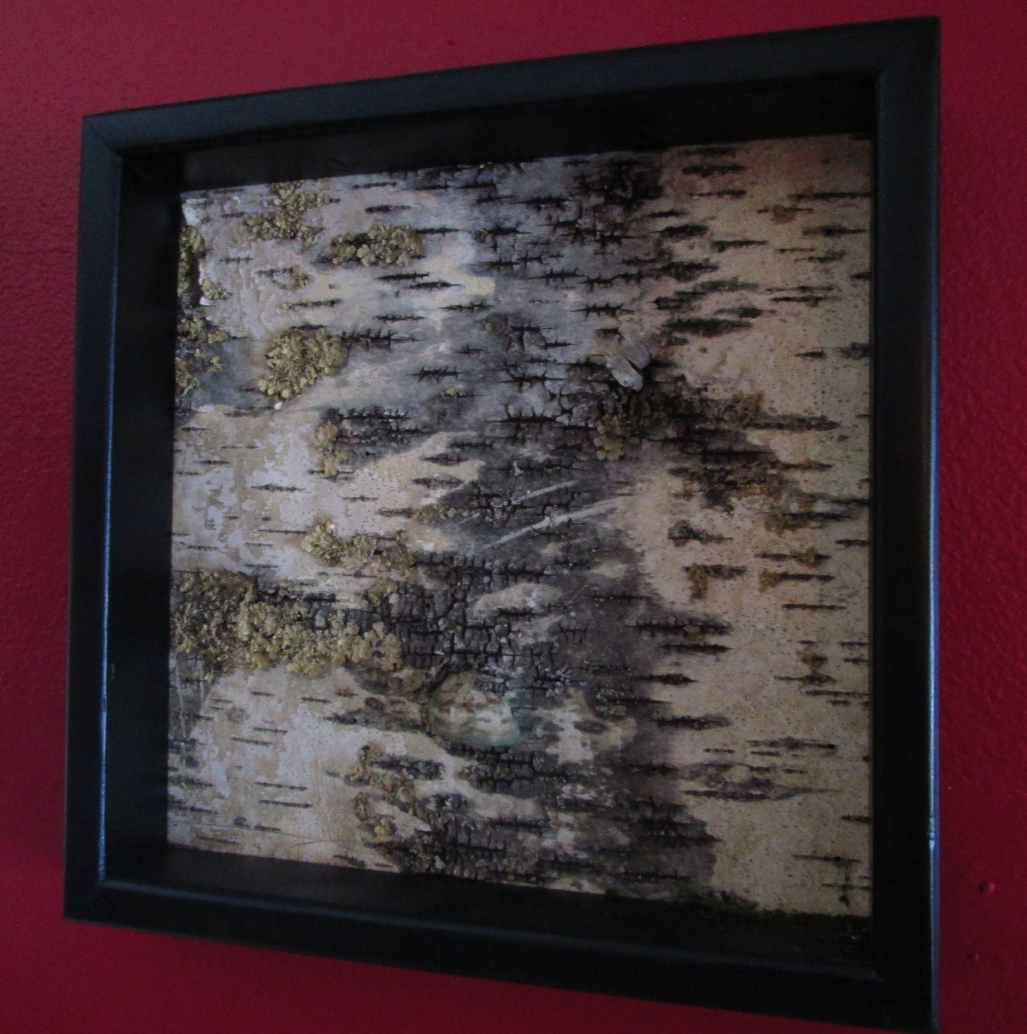 Framed Birch Bark wall art decor urban rustic urban