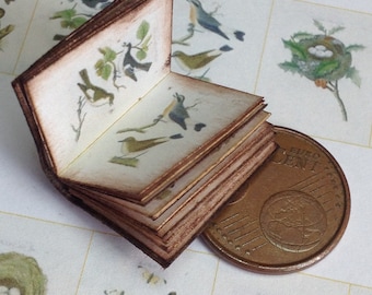 1:12 Miniature birds and nests book