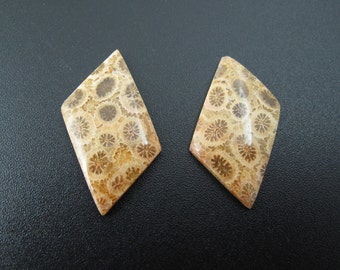 Beautiful Fossil coral cabochon pair, earrings,set stone, Natural stone, , Jewelry making supplies S7216