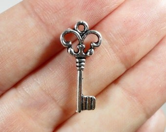 50pcs Bulk Key Charms, 21x9mm Antique Silver Key Pendants, Skeleton Key Charm, Wholesale Charms, DIY Wedding Supplies, Jewelry Making