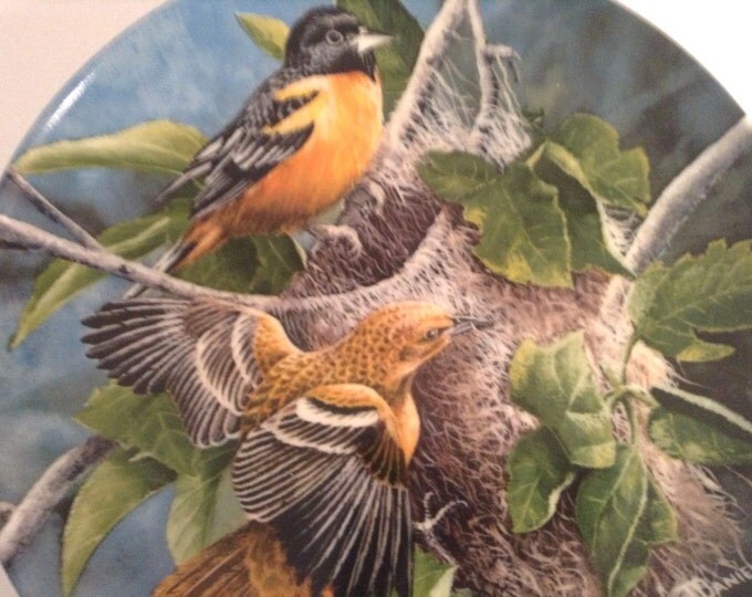 Baltimore Orioles Birds, Kevin Daniel - Knowles Collectible Plate, Mid Century, Gift For Christmas, Gift for Bird Lover