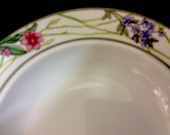 Dansk Rim Soup Bowl Cafe Floral Pattern 8 3/4 Inches With Multicolor Flowers On Rim, Green Bands