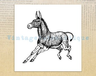 Printable Image Coyote Illustration Graphic by VintageRetroAntique