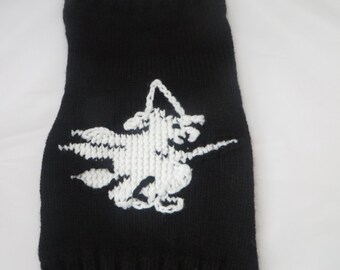 Halloween dog costume, Halloween scary Witch on a broom stick costume.