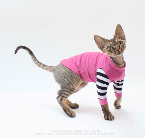 Cat Clothes Striped Cat Sweater Sphynx Cat Clothes by SimplySphynx